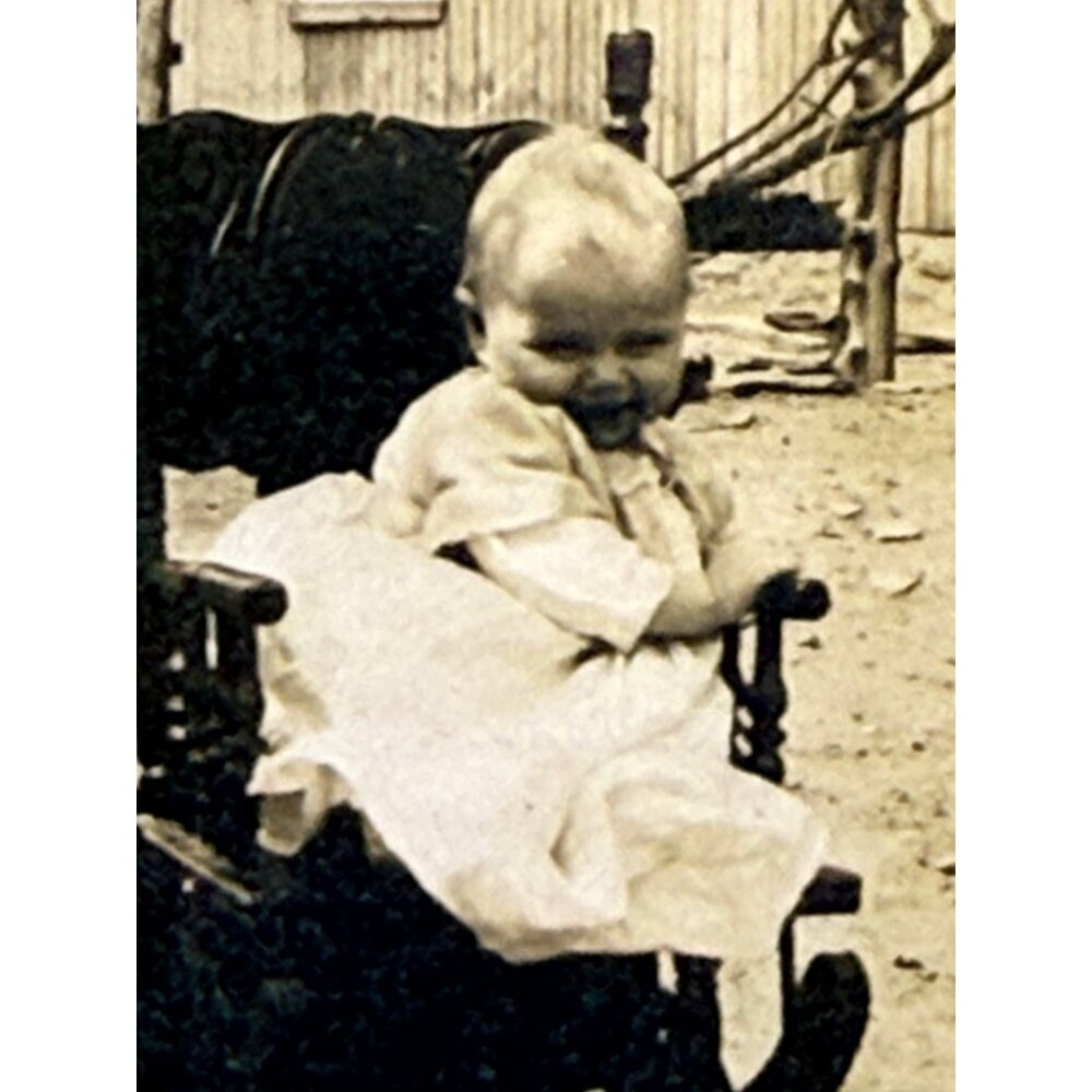 Antique CDV Photo Baby In Stroller Rustic Rural Farm Scene Horse Laundry 1870s - Picture 3 of 5